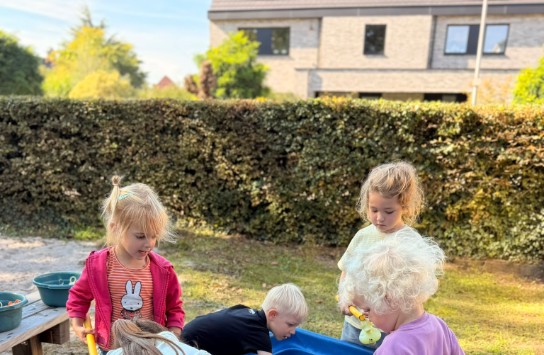  (vergroot foto)