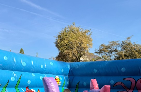  (vergroot foto)