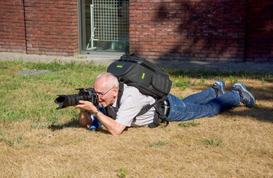 (vergroot foto)