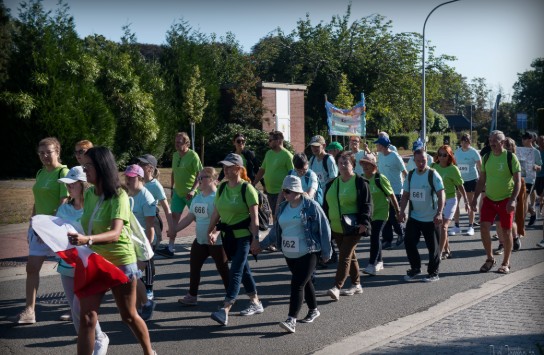 (vergroot foto)
