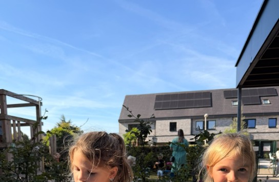  (vergroot foto)